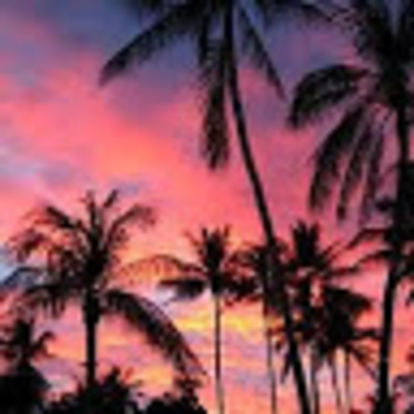 Meet your Posher, Lolo - Picture 1 of 1